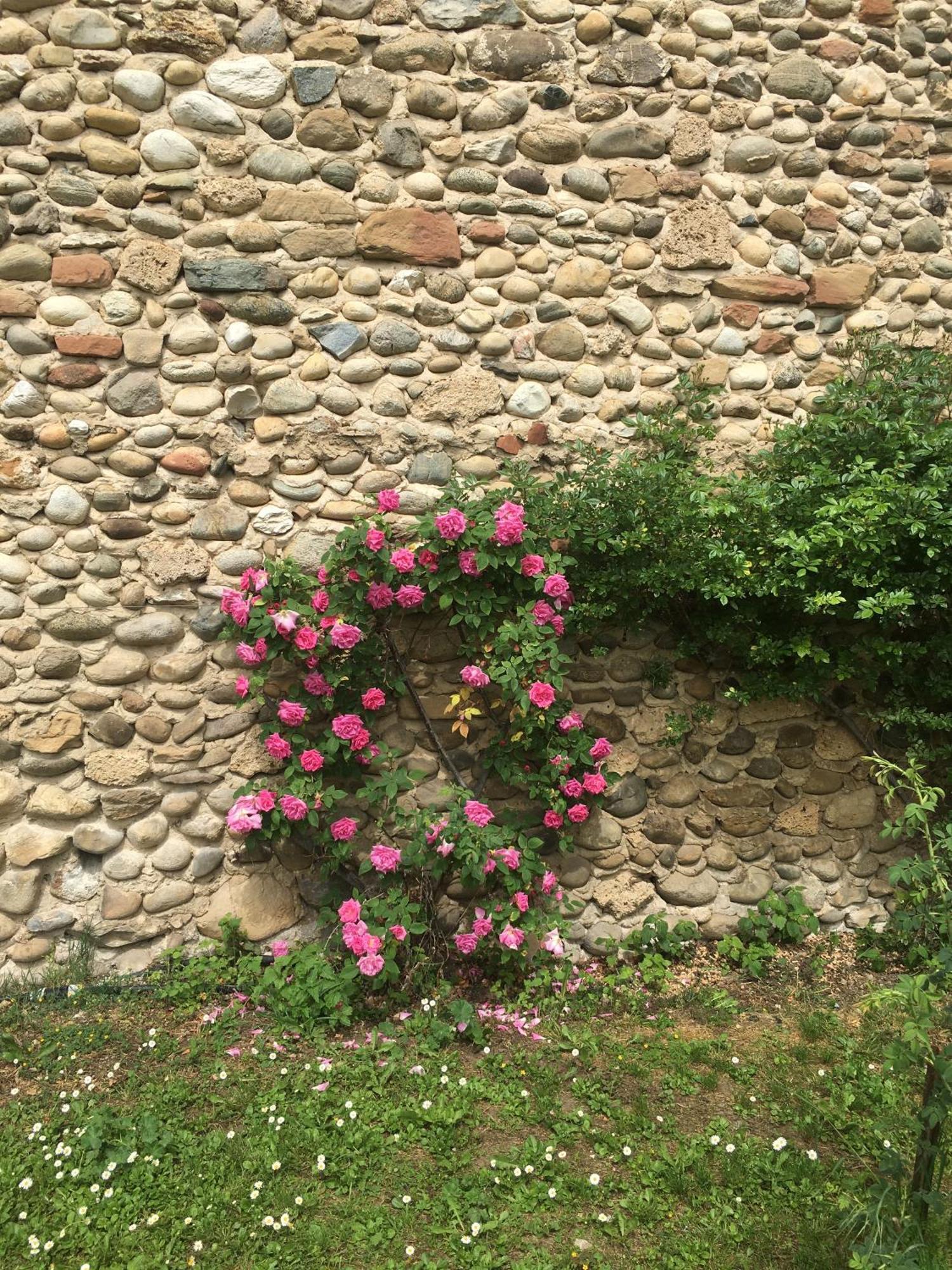 Saint-Romans  Vercors En Vert , Chambres D'Hotes De Charme מראה חיצוני תמונה