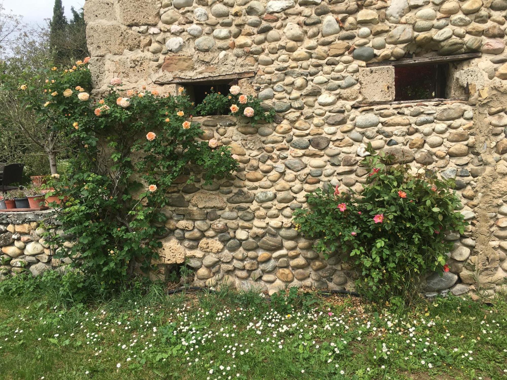 Saint-Romans  Vercors En Vert , Chambres D'Hotes De Charme מראה חיצוני תמונה