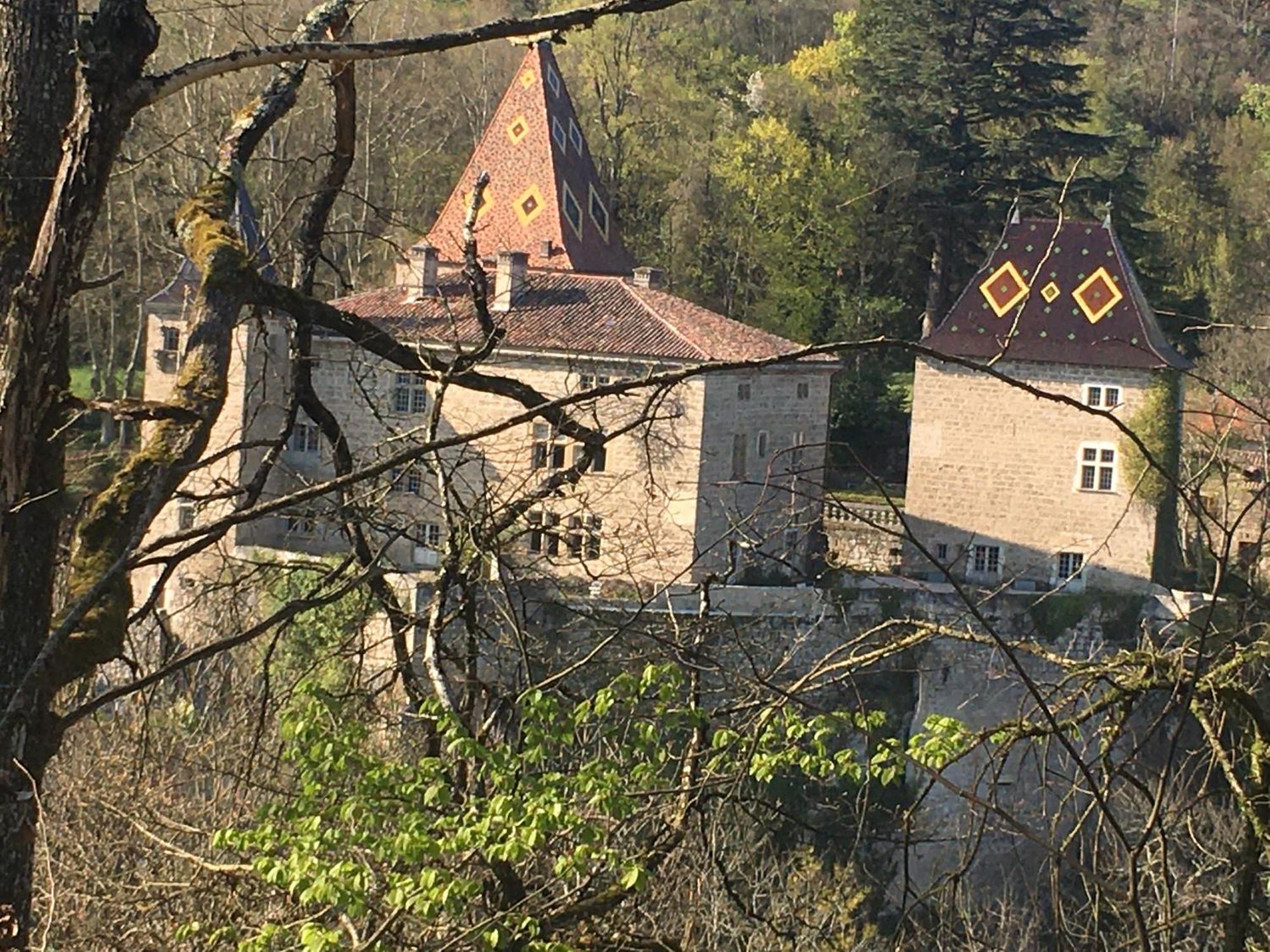 Saint-Romans  Vercors En Vert , Chambres D'Hotes De Charme מראה חיצוני תמונה