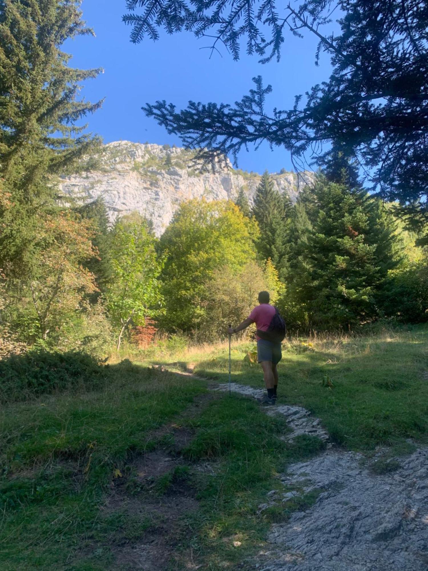 Saint-Romans  Vercors En Vert , Chambres D'Hotes De Charme מראה חיצוני תמונה